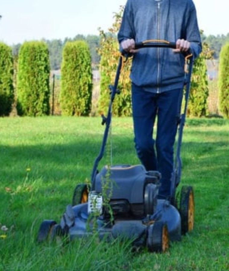 Freshly Cut Grass