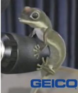 Geico Gecko