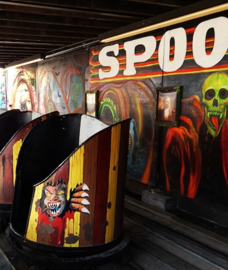 Amusement Park Rides