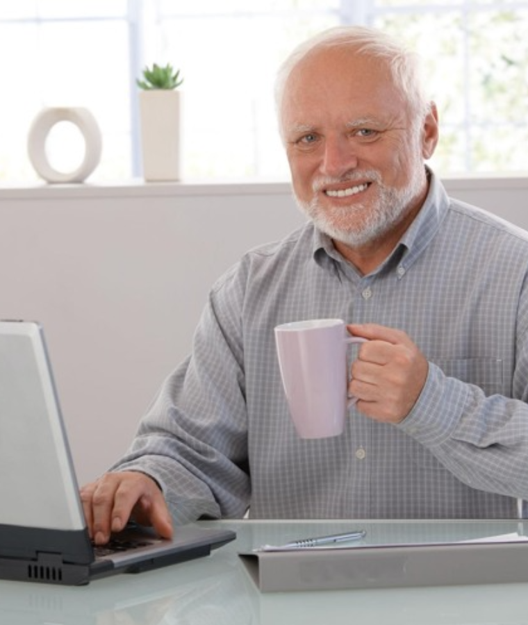Hide the Pain Harold