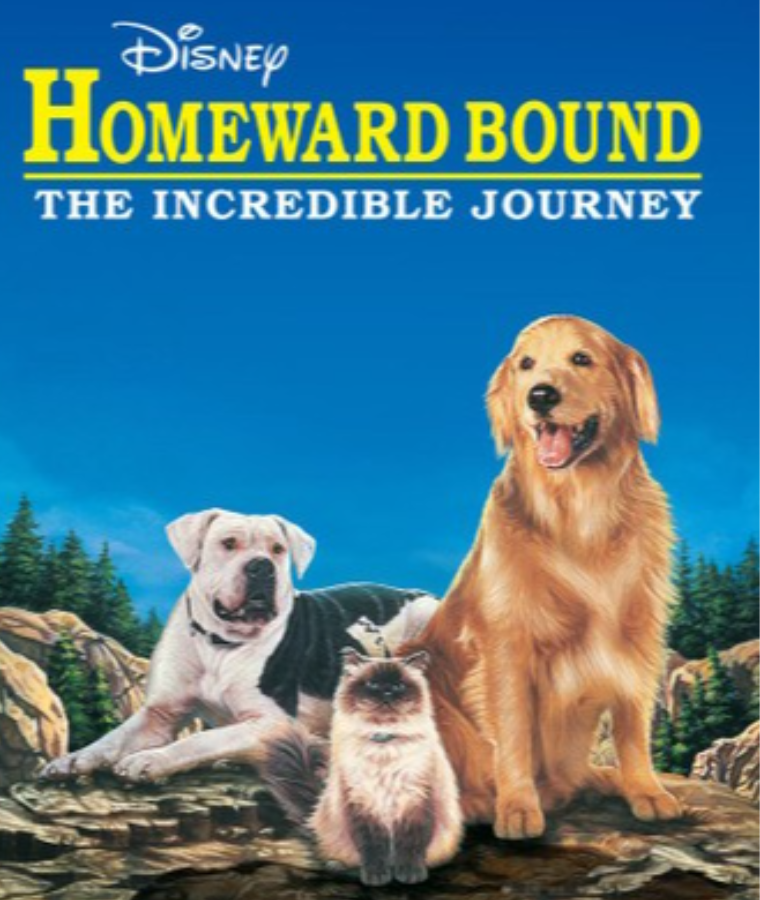 Cat Movies