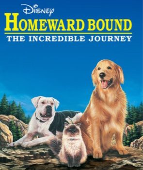 Homeward Bound: The Incredible Journey