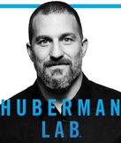 Huberman Lab