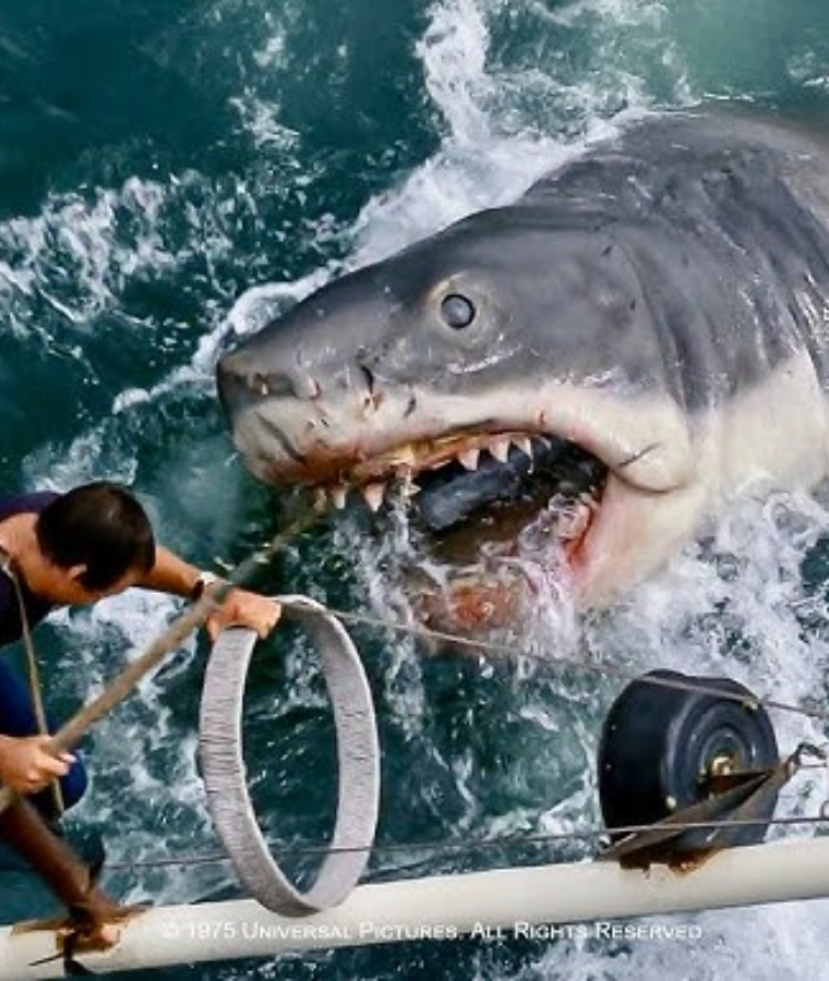 Jaws Shark