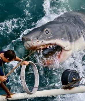 Jaws Shark