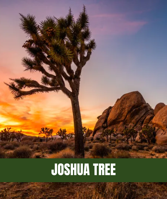 U.S. National Parks