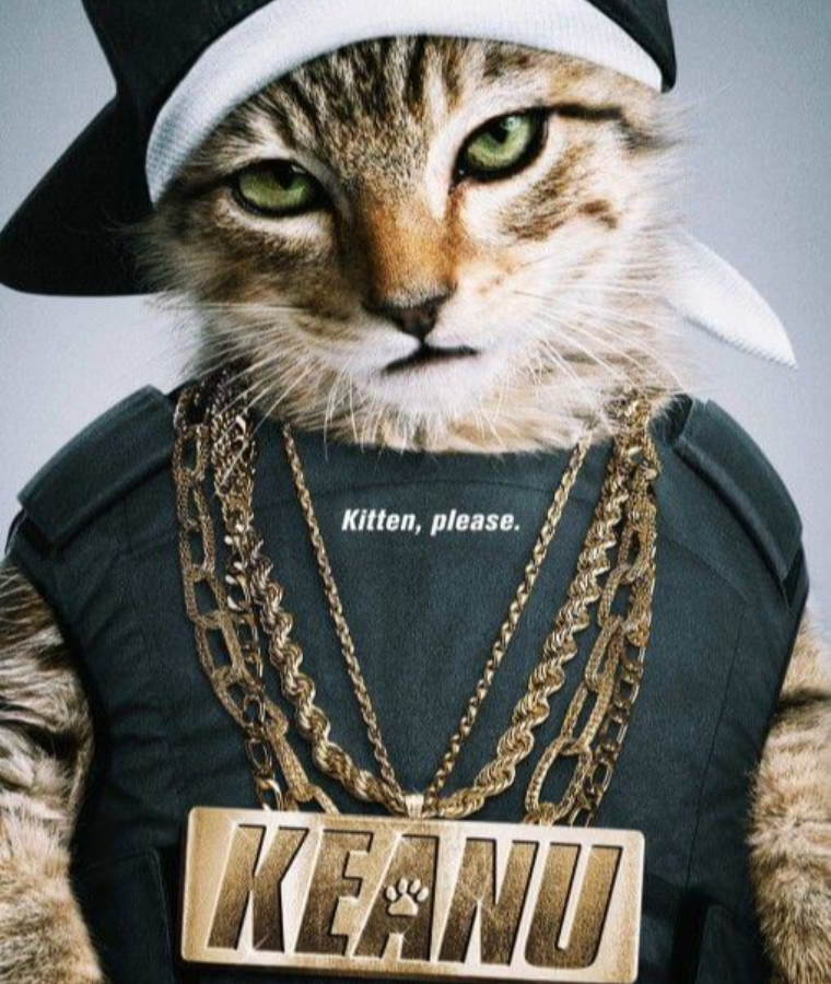 Cat Movies