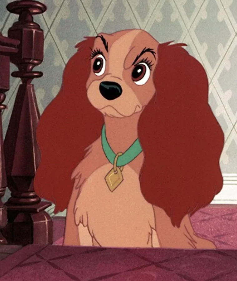 Lady (Lady and the Tramp)