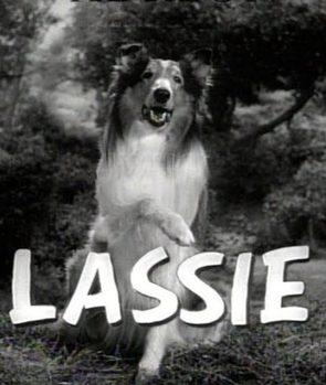 Lassie (Lassie)