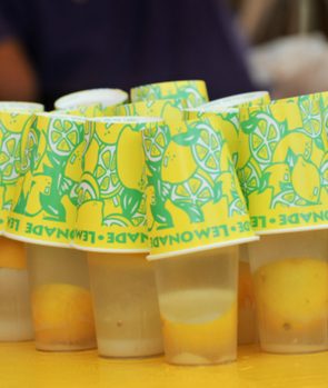 Lemon Shake-Up