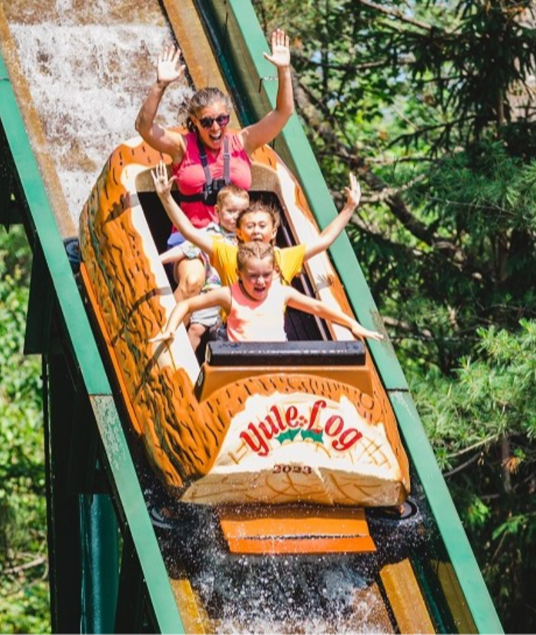 Amusement Park Rides