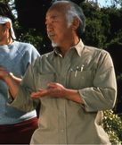 Mr. Miyagi (The Karate Kid)