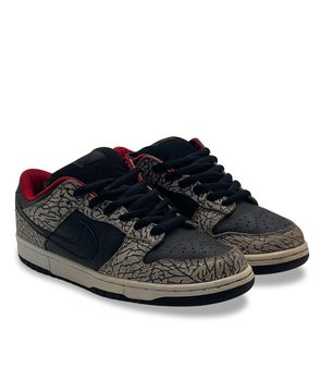 Nike Dunk SB