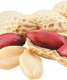 Peanuts