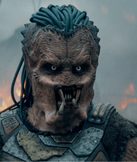 Predator (Predator)
