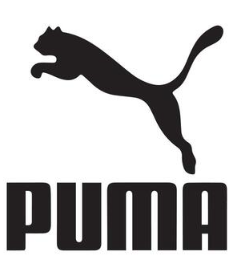 Sneaker Brands
