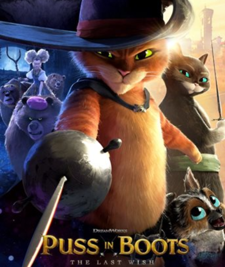 Cat Movies