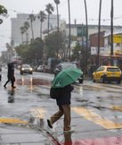 Rain on Dry Pavement