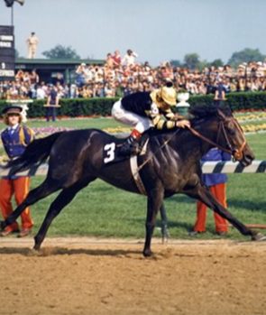 Seattle Slew