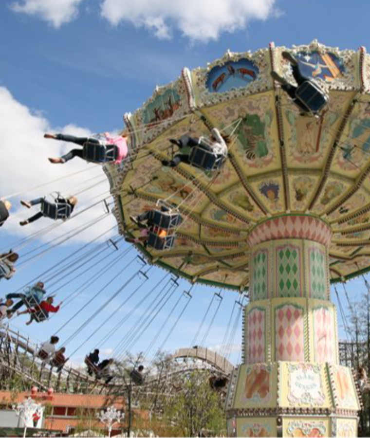Amusement Park Rides