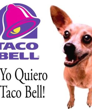 Taco Bell Chihuahua (Taco Bell)
