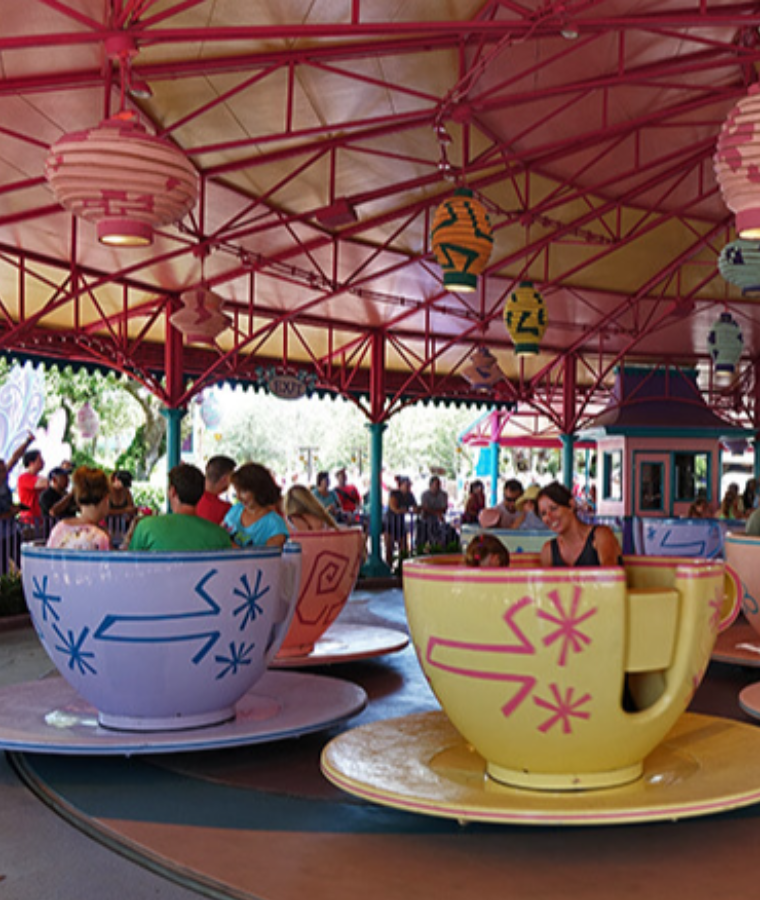 Amusement Park Rides