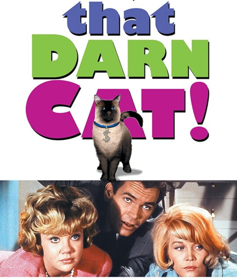 Cat Movies