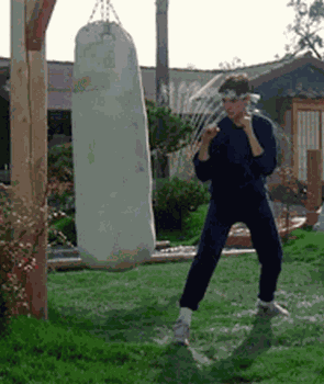 The Karate Kid