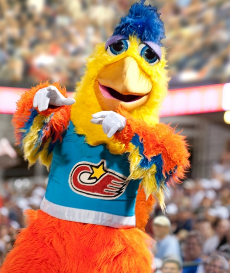 Sports Mascots