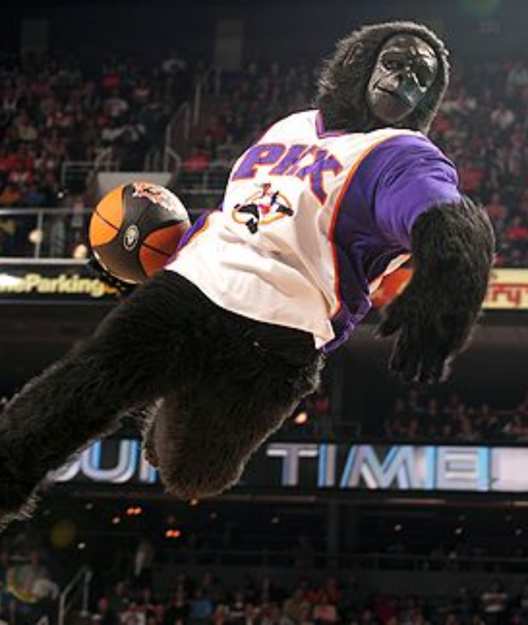 Sports Mascots