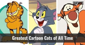 Cartoon Cats